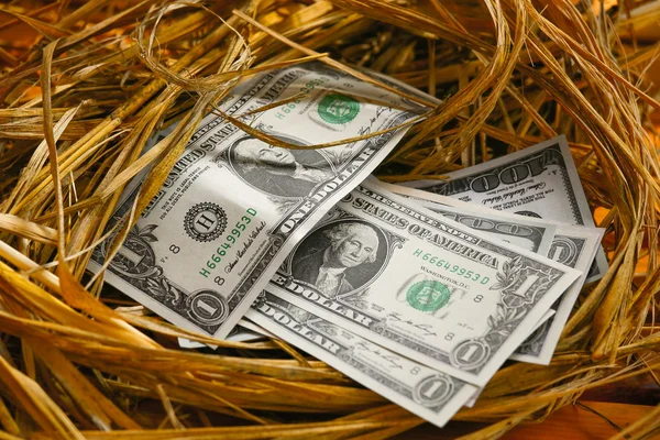 Dollar Banknote in nest eggs, Growing of business and genesis Business, New business starting by banknotes, Business concept. — Stock Photo, Image