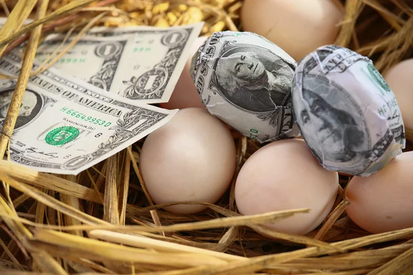 Dollar Banknote in nest eggs, Growing of business and genesis Business, New business starting by banknotes, Business concept. — Stock Photo, Image