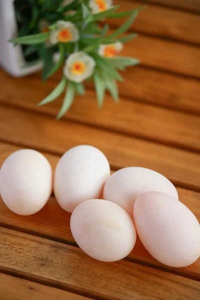 Ovos em ninho na natureza, ovos frescos para cozinhar ou matéria-prima, ovos frescos fundo . — Fotografia de Stock