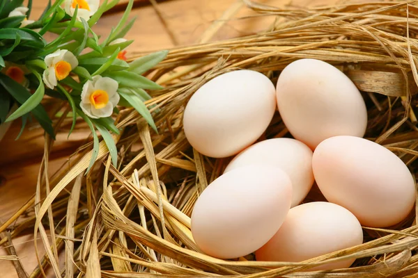Ovos em ninho na natureza, ovos frescos para cozinhar ou matéria-prima, ovos frescos fundo . — Fotografia de Stock