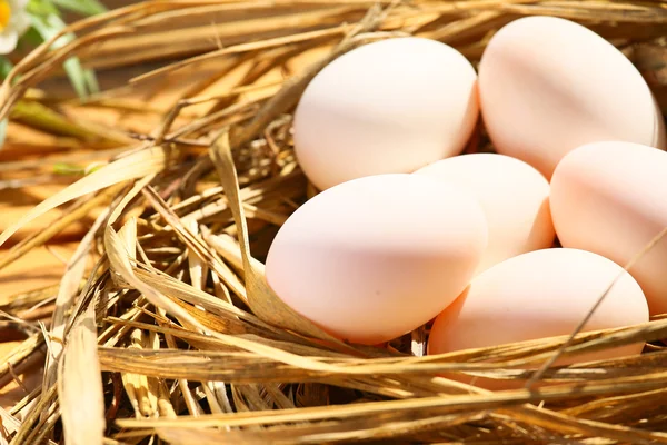 Eieren in nest op de natuur, verse eieren voor koken of grondstoffen, verse eieren achtergrond. — Stockfoto