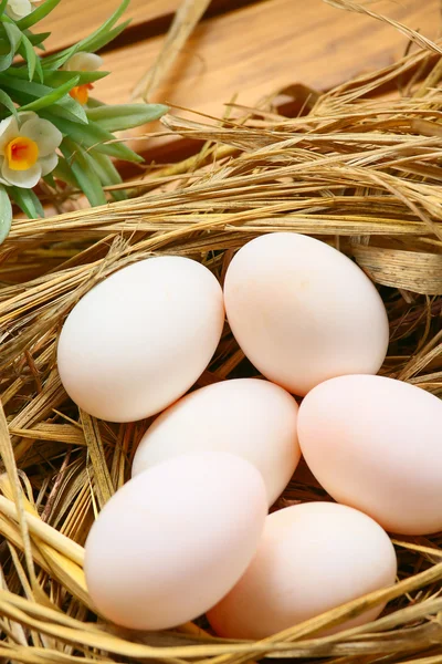 Ägg i boet på naturen, färska ägg för matlagning eller råvara, färska ägg bakgrund. — Stockfoto