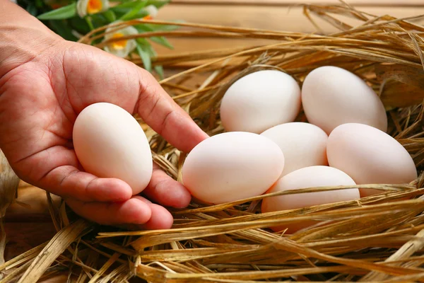 Vejce v hnízdě na přírodě, čerstvá vejce na vaření nebo suroviny, čerstvá vejce pozadí. — Stock fotografie