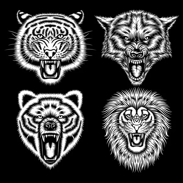 Set of Angry Animal Heads — Stock Vector