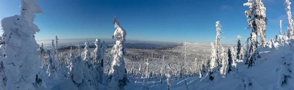 Sentiero escursionistico invernale panoramica coperta di neve fino alla cima del Monte Lusen nel Parco Nazionale Bavarese Forrest — Foto Stock