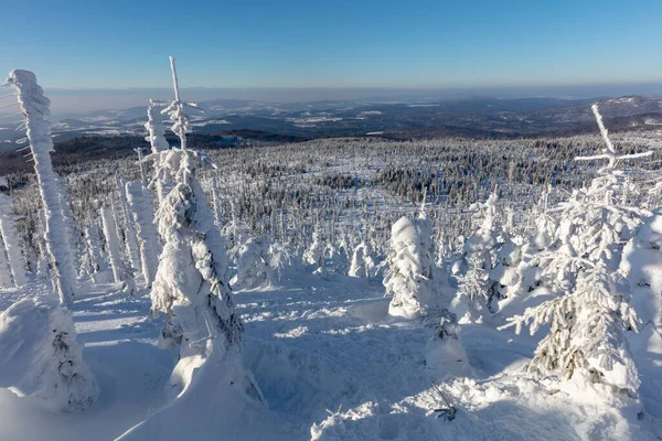 Sentiero escursionistico invernale panoramica coperta di neve fino alla cima del Monte Lusen nel Parco Nazionale Bavarese Forrest — Foto Stock
