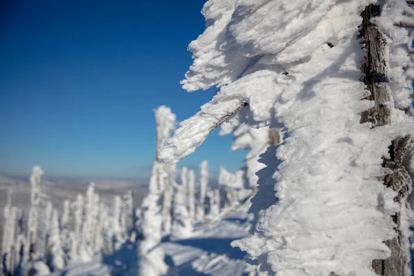 Scultura astratta in neve a forma di vento e tempo — Foto Stock