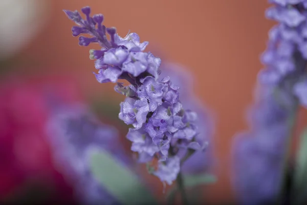소박한 장식 설정에 라벤더 꽃다발 — 스톡 사진