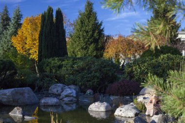 Sabahın ilk ışıklarındaki muhteşem sonbahar ormanı. Ağaçların arasında kırmızı ve sarı yapraklar. Altın Orman manzarası.