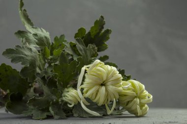 Gri çimento arka planda kapalı çiçekli kasımpatı dalı