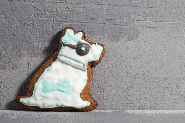 かわいいクリスマスジンジャーブレッドクッキー色の砂糖アイシングと犬の形をしています 伝統的な自家製ペストリー クリスマス 子供の日 パーティーのアイデア 白地に隔離された — ストック写真