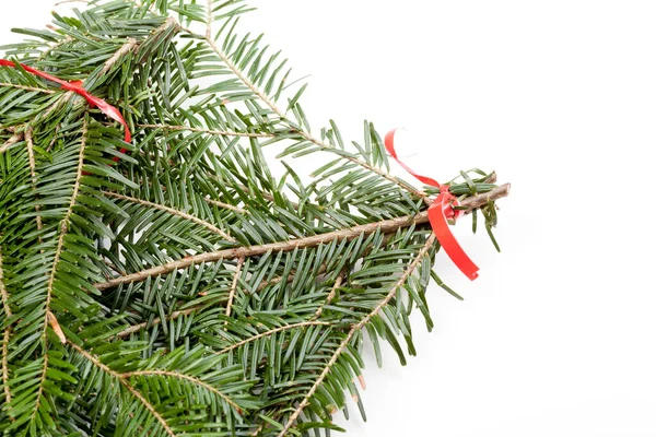 Bovenaanzicht Van Groene Sparren Sparren Tak Met Naalden Geïsoleerd Witte — Stockfoto