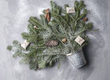 Bir buket yeşil ladin, gri arka planda demir kovada dallanır. Uzayı metin için kopyala. Noel konsepti.