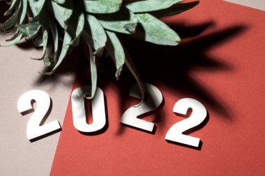 Beyaz sayılardan 2022 alfabesi