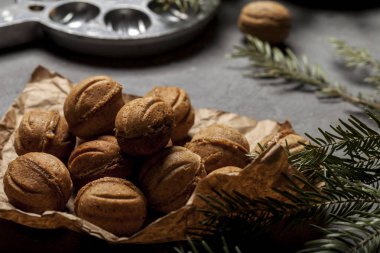 Noel ağacının arka planında yoğunlaştırılmış süt olan fındık şeklinde kurabiyeler. Noel hediyesi