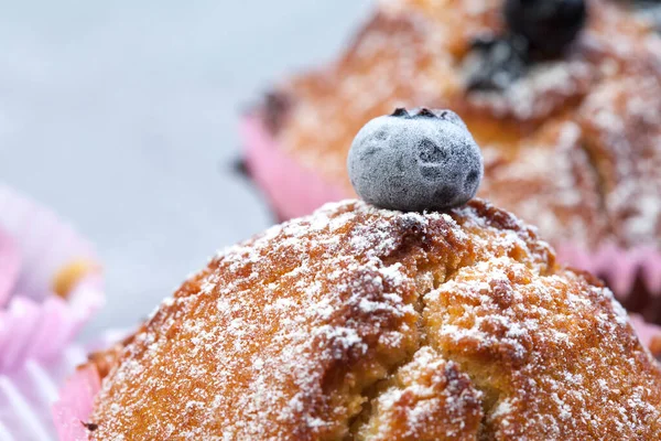 Blueberry Muffins Powdered Sugar Fresh Berries — Stock Photo, Image