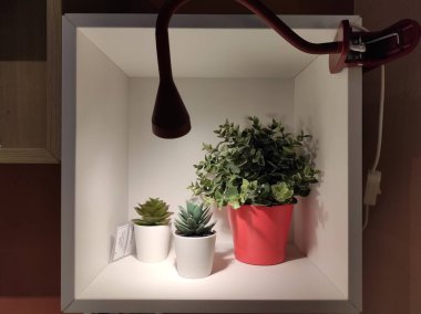 Kiev, Ukrayna - 5 Mart 2021: Ikea mağazasında saksı bitkisi satmak. İç kısımda yapay bitkiler var.