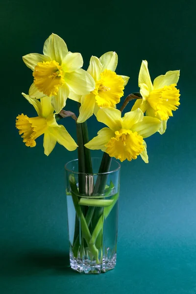 Ramo Flores Narcisas Vaso Con Soporte Sombra Sobre Fondo Cian —  Fotos de Stock