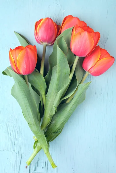 Tulipanes Sobre Fondo Azul Concepto Floral Festivo Con Espacio Texto —  Fotos de Stock