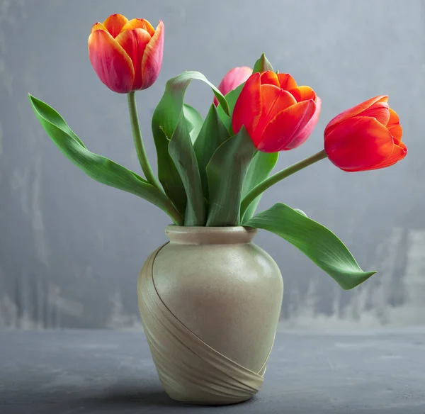 Red Tulips Vase Gray Background — Stock Photo, Image