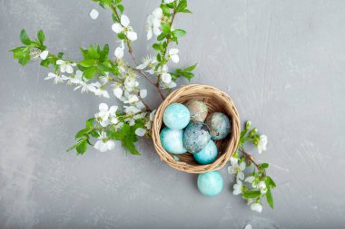 Sepette paskalya yumurtaları yakın plan ve ilkbahar kiraz çiçekleri.