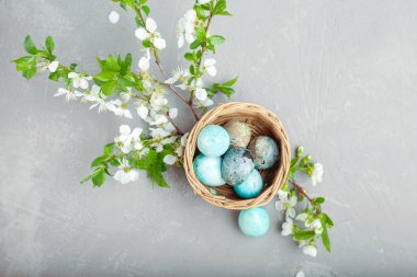 Mavi arka planda samandan yapılmış bir yuvadaki Paskalya renkli yumurtalar. Mevsim kavramı, bahar, kartpostal, tatil. Düz konum, kopyalama alanı, metin için boşluk. Yakın plan..