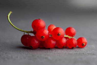 Frenk üzümü izole. Gri arkaplanda kırmızı frenk üzümü.