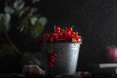 Siyah arka planda, küçük metal bir kovada kırmızı frenk üzümü. Gösterişsiz yemek fotoğrafçılığı