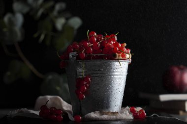 Siyah arka planda, küçük metal bir kovada kırmızı frenk üzümü. Gösterişsiz yemek fotoğrafçılığı