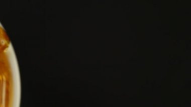 Balık yağı kapsülleri