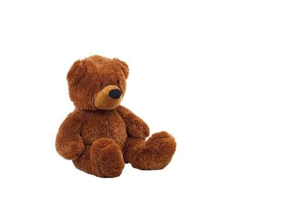 Teddybär — Stockfoto