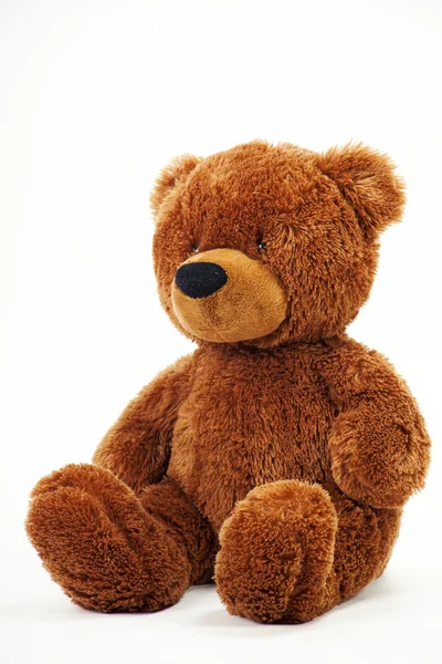 Brown teddy bear isolated on white — Stock Photo, Image