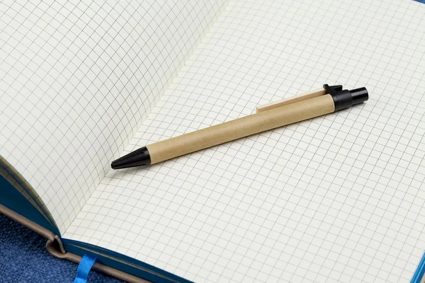 Ручка сделана из экологически чистых материалов. Сделано из переработанной бумаги. — стоковое фото