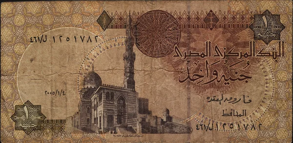 One Egyptian pound banknotes — Stock Photo, Image