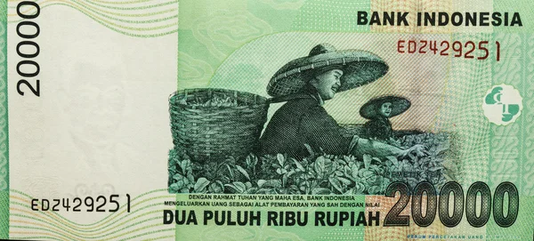 Indonéská Rupie kusovník dvacet tisíc — Stock fotografie