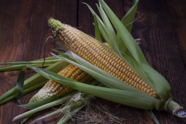 Üzerinde Mısır üzerinde ahşap arka plan izole,