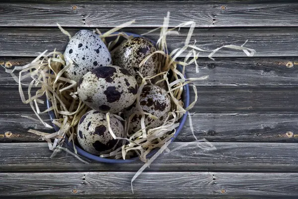 Tahta bir masada bıldırcın yumurtası. Üst görünüm