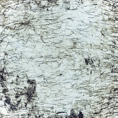 eşsiz arkaplan soğuk renkler