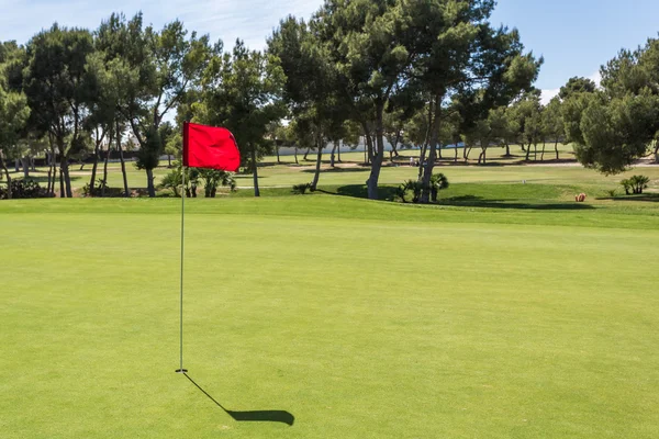 Red flag in the hole on a green golf field