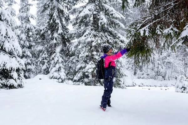 Kız tutun el Noel ağacı karda — Stok fotoğraf