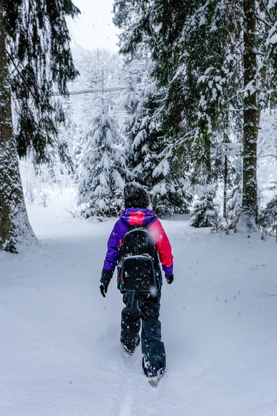 Visão traseira menina sob a neve na floresta — Fotografia de Stock