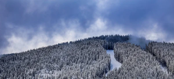 Winterlandschap in de bergen — Stockfoto