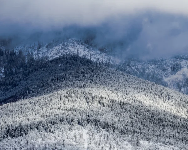 눈덮인 겨울 풍경 — 스톡 사진