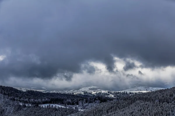 Kleurrijke winterochtend in de mistige bergen — Stockfoto
