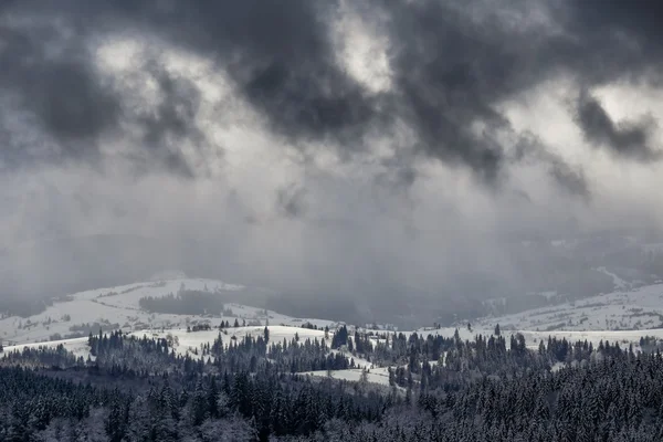 아름 다운 겨울 자연 산 프리 — 스톡 사진