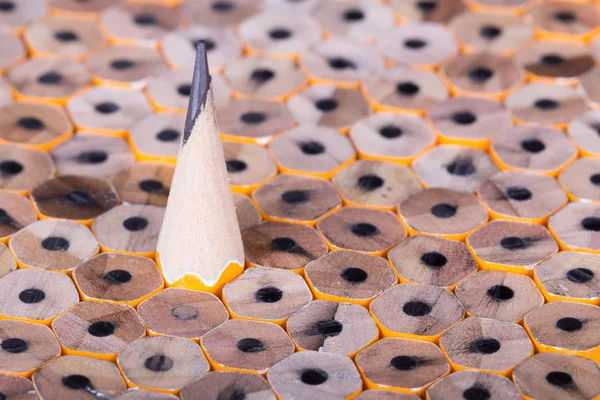 Jeden ostrý tužkou mezi mnoha není ostrý — Stock fotografie