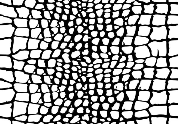 Пятнистые черно-белые повторяющиеся обои печати. Бесшовный рисунок с отпечатками кожи крокодила или аллигатора. Фон векторной иллюстрации животных.