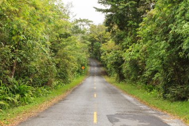 boş bir yol