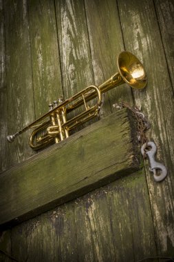 Trompet sokak Jazz
