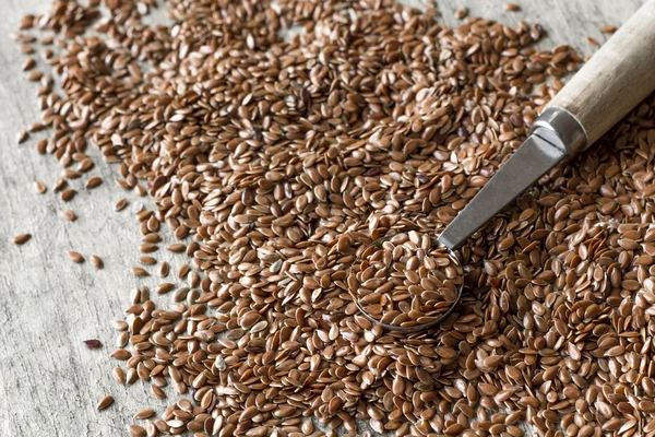 Flax Seed Background — Stock Photo, Image